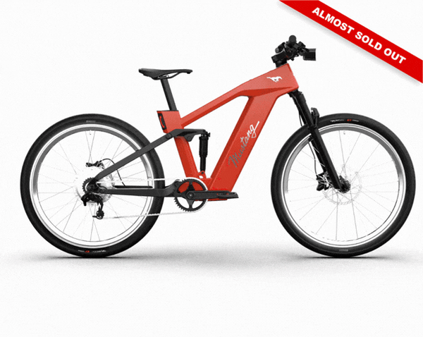 mustang fahrrad 28 zoll eBike Rahmen:46cm Vankel E-Bike Cityrad 28 asiatische Zutaten
