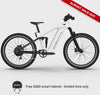 dt-Ford Mustang electric bike in Oxford White colour